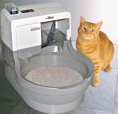 electric kitty litter boxes|best electronic cat litter box.